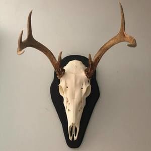 Meet your Posher, George